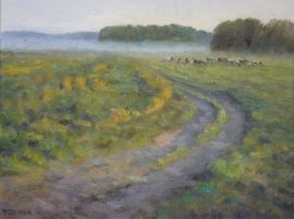 Коровки на пастбище вечером